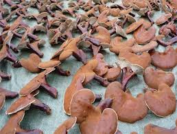 Công ty cổ phần thương mại xuất nhập khẩu Aladin