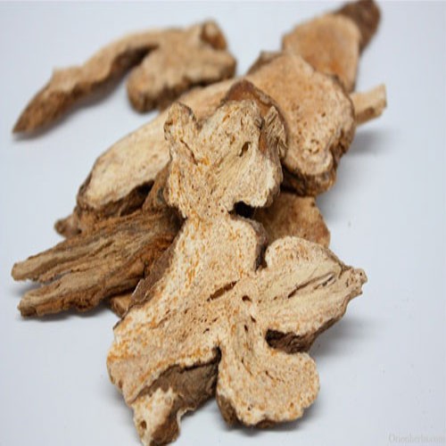 duoc lieu bach truat