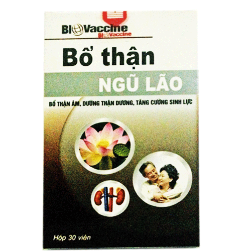 bổ-thận-ngũ-lão