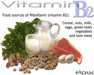 thuc pham giau vitaminb2