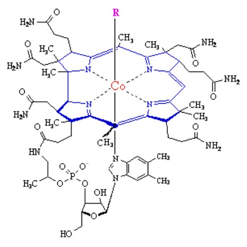 cong thuc hoc hoc vitamin b12