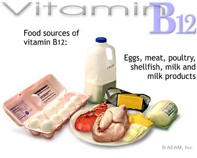 thuc pham giau vitamin b12