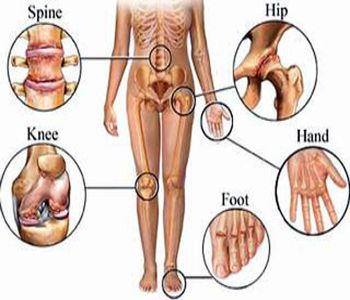 vi tri thoai hoa khop