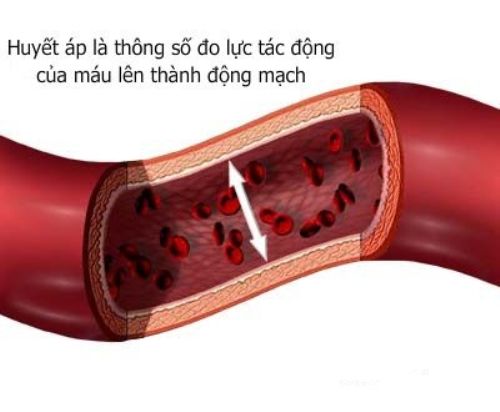 cao huyet ap
