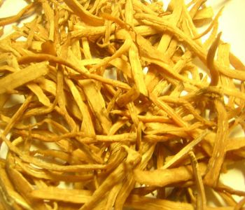thao duoc nguu tat