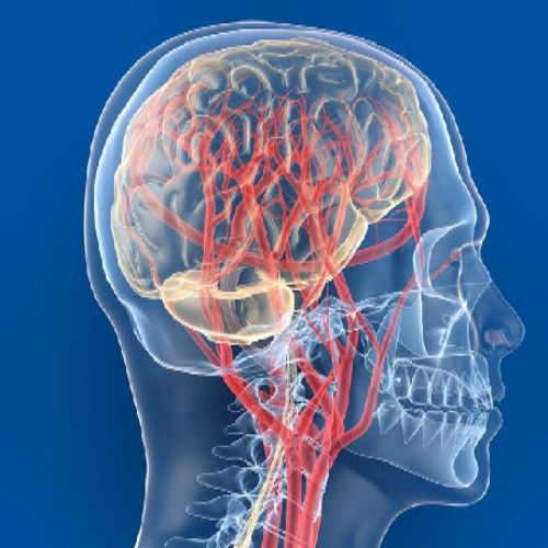 thieu nang tuan hoan nao