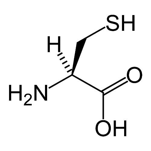 l-cysteine