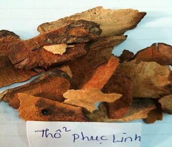 thao duoc tho phuc linh