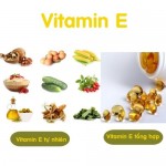 Bạn có biết tác dụng của kem dưỡng da vitamin E?