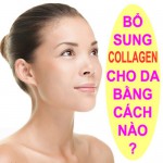 Nên bổ sung collagen ở dạng nào để dễ hấp thu tốt nhất?