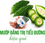 Mướp đắng – vị thuốc quý giúp điều trị bệnh tiểu đường hiệu quả