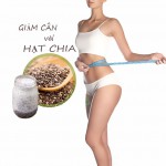 Hạt chia – nguyên liệu hỗ trợ giảm cân hiệu quả hơn cho bạn