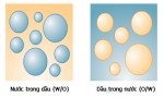 Những ưu điểm nổi trội của chiết xuất nhũ tương trong các loại mỹ phẩm 