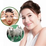 Chị em đã hiểu hết về liệu pháp làm đẹp da với tế bào gốc nhau thai cừu chưa?