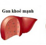 Những cách tăng cường chức năng gan vô cùng đơn giản mà ai cũng làm được