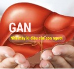 Những thức uống làm mát gan bạn cần biết