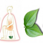 Các cách giảm mùi vùng kín vô cùng hiệu quả