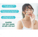 Cách bảo vệ và bổ sung elastin cho làn da luôn đàn hồi, căng mịn