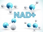 NAD+ Đảo ngược lão hoá - Bí quyết trẻ hoá cấp độ tế bào