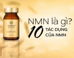 nmn là gì