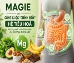 Magie và Công Cuộc “Chỉnh Đốn” Hệ Tiêu Hóa: Khoáng Chất Nhỏ, Vai Trò Lớn