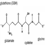 Trắng da với Glutathione