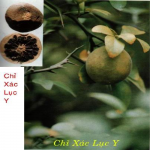 Chỉ xác tốt cho sức khỏe