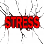 Đẩy lùi stress với Brain Fuel Plus