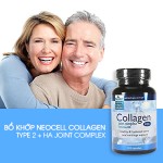 Tái tạo sụn khớp với collagen type 2 