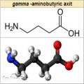 Gaba – chất dẫn truyền thần kinh