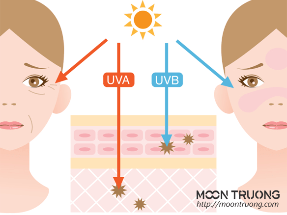Kem chống nắng Dermalogica