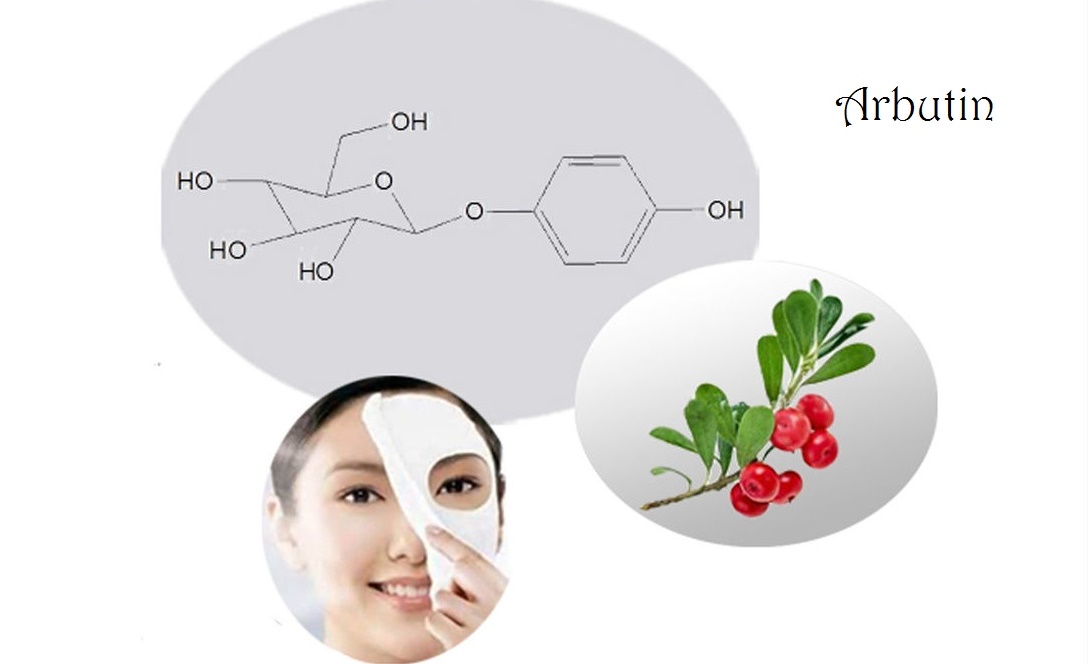 Các Hoạt Chất Làm Sáng Da Và Ứng Dụng Thực Tiễn