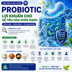 Probiotic: Probiotic là gì? Công dụng, cách lựa chọn và vai trò đối với hệ vi sinh đường 