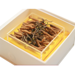 Đông trùng hạ thảo Bhutan loại A