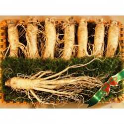 Sâm tươi Hàn Quốc 1kg 8 củ