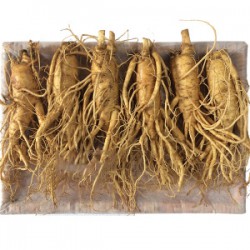Sâm tươi Hàn Quốc1kg (6 củ)