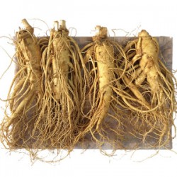 Sâm tươi Hàn Quốc 1kg (4 củ)