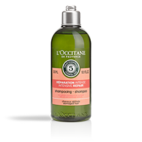 Dầu gội phục hồi chuyên sâu cho tóc khô và hư tổn L'Occitane Aromachologie Intensive Repair Shampoo