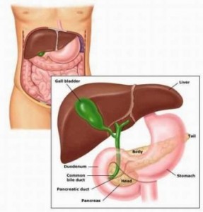 Cải thiện sinh lý với L-Arginine